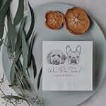 Die ultimative Analyse: Die besten Buffet-Artikel für die Gastronomiebedarfsversorgung