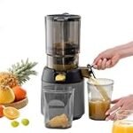 Die besten Slow Juicer Entsafter für die Gastronomie: Eine detaillierte Analyse und Bewertung
